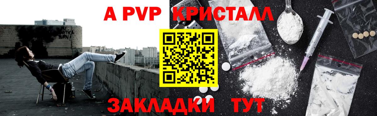 A PVP СК КРИС Александров