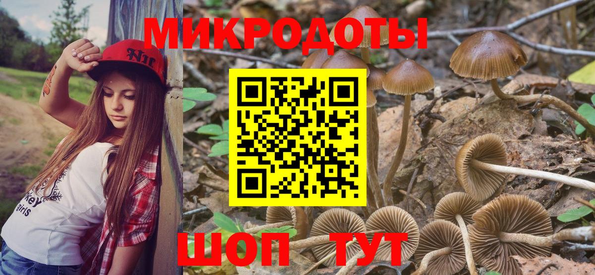 Галлюциногенные грибы MAGIC MUSHROOMS  Псилоцибиновые грибы ЛСД  Александров  Вход с VPN 
